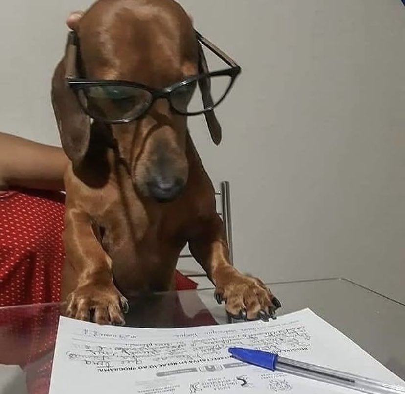 xbyswift's tweet image. TRÊS E MEIA DA MADRUGADA e eu calculando o #nosso arcano pessoal p ver se tem compatibilidade amorosa, amo ser lelé da cabecinha por #ele