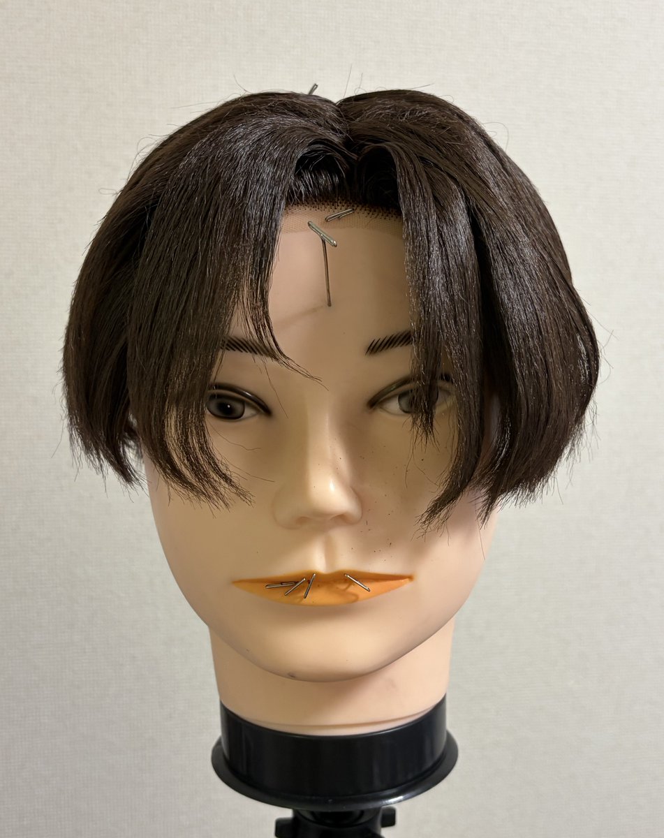 meru_wig【オーダー新規停止】 (@meru_wig) / Posts / X