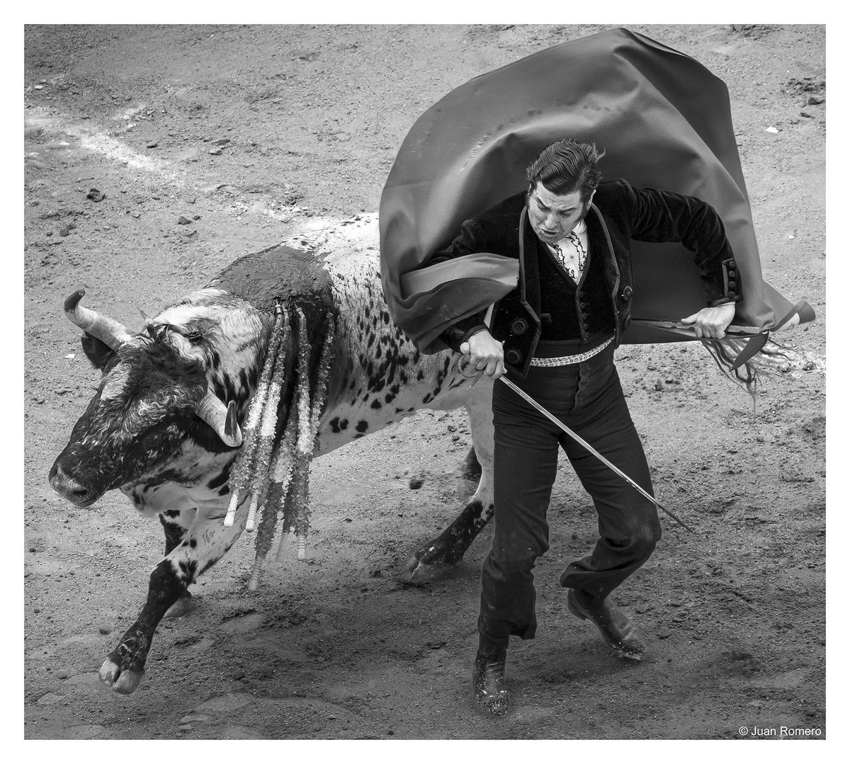 Extraordinario

juanromerofotografia.wordpress.com/2025/10/21/un-…