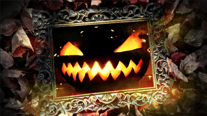 abitfrank tweet media