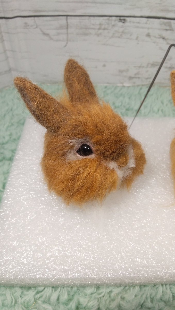 ～Megu🍀の羊毛🐰～
🐰さんの毛色－何色かの色2色～5･6色･･･
Megu🍀のこだわり✴
目のライン黒そしてピンクわずか1㎝程に全集中
納得いくまで息を止め瞬き禁止🤣ヒャー😱
～可愛くなぁ－れ❤～
※ピンクラインそのこ🐰によります😂