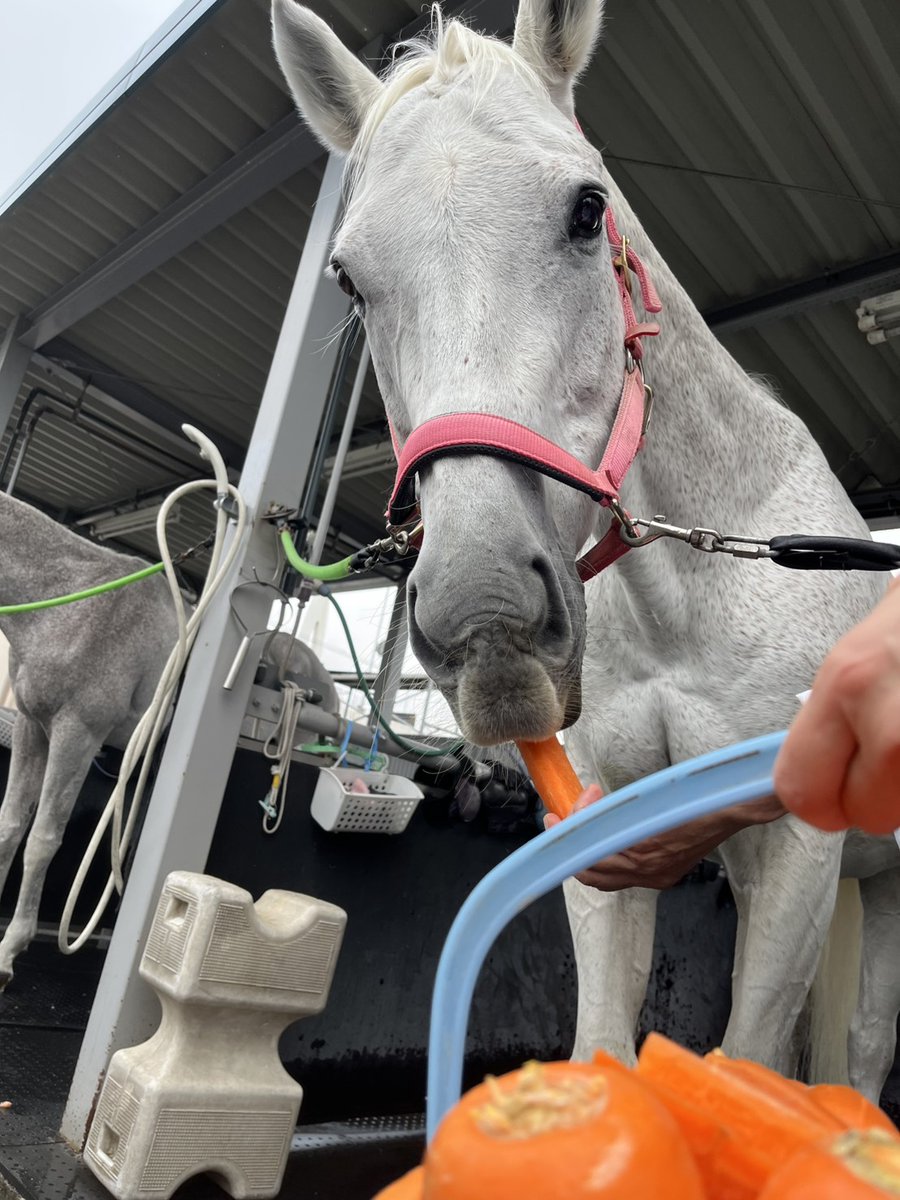 SPAT4プレミアムポイント on X