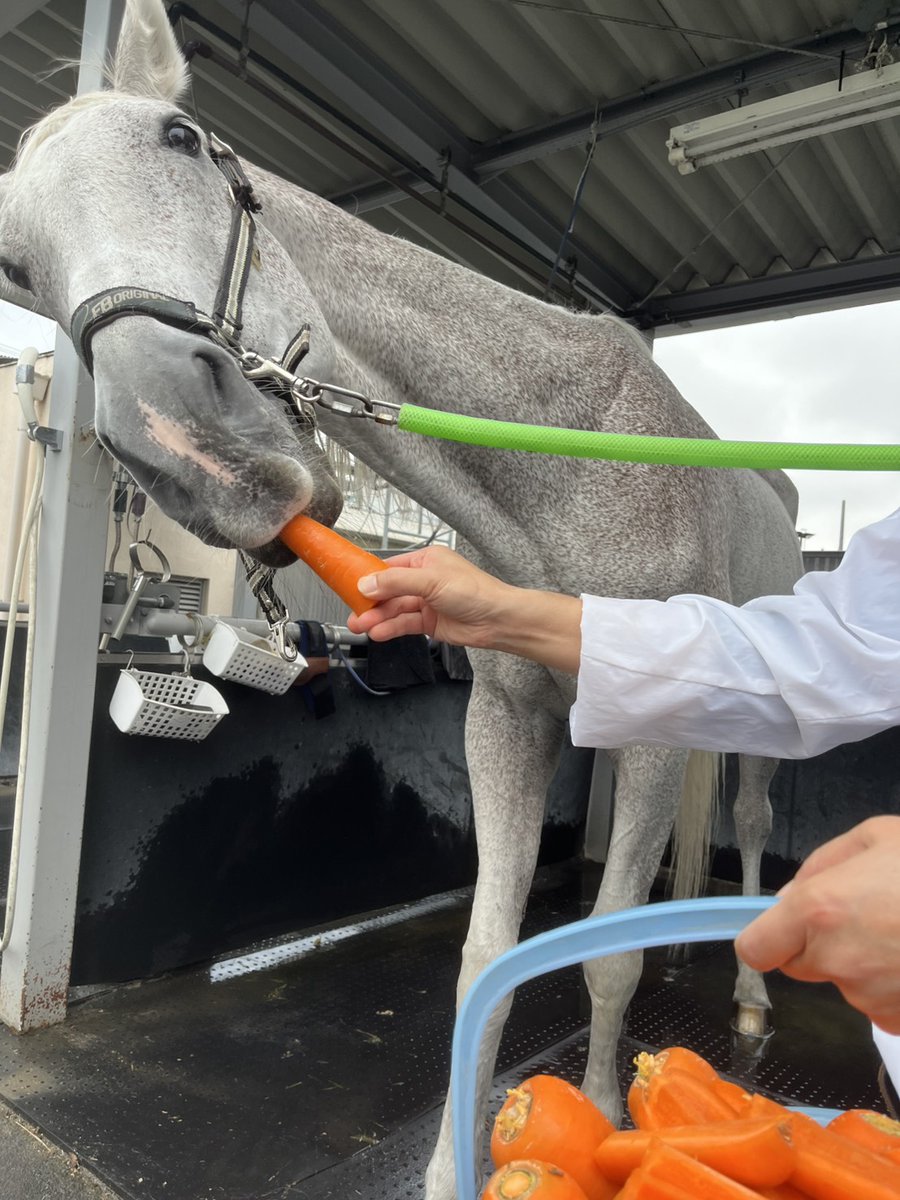 SPAT4プレミアムポイント on X