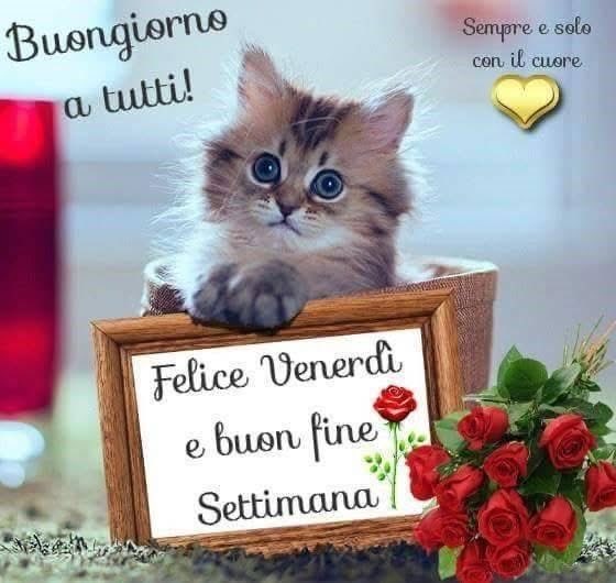 RITABIANCHi56 tweet media