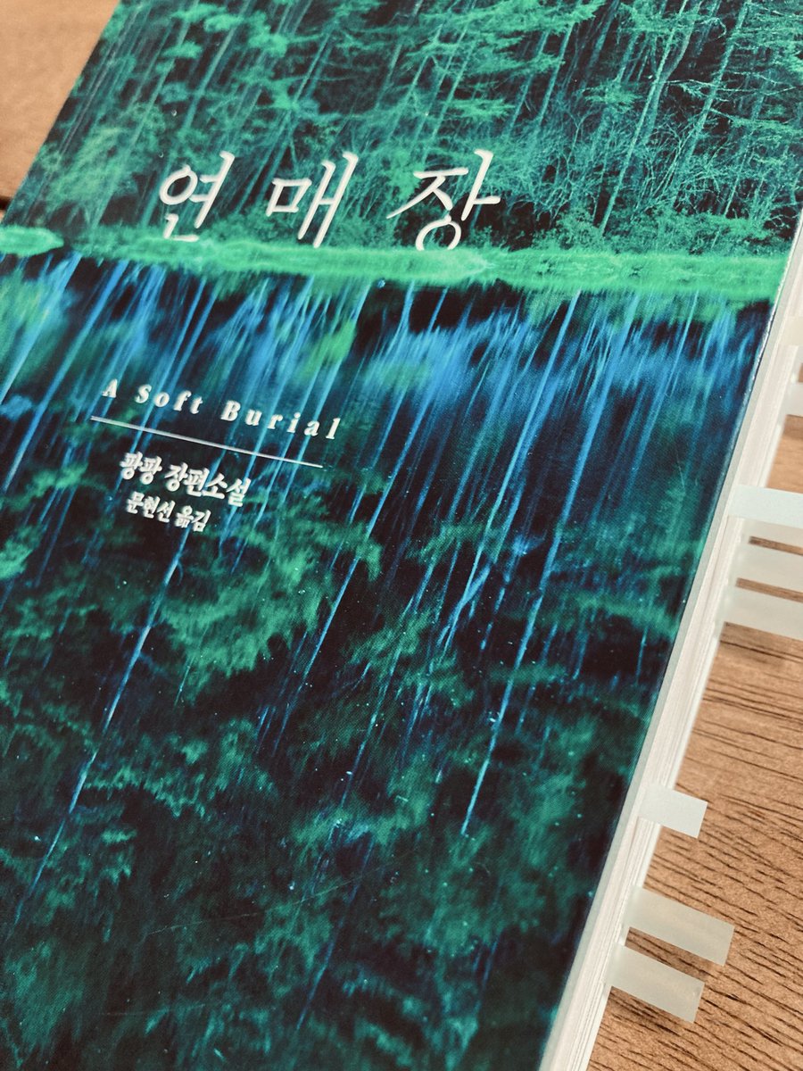 chokodark1's tweet image. &amp;lt;연매장&amp;gt;은 역사,그리고 개인들의 비극. 그 전말을 풀어가는 식인데 소설의 등장인물들이 모두 주인공이라는 생각을 했다.그래서 특정캐릭터에 몰입되지는 않았던.보통의 사람들이 그 상황에서 품을 수 있는 모든 극한의 감정들을 다소 억누르며 서술했다는 느낌.마지막 장을 덮을 때,마음이 무거웠다.