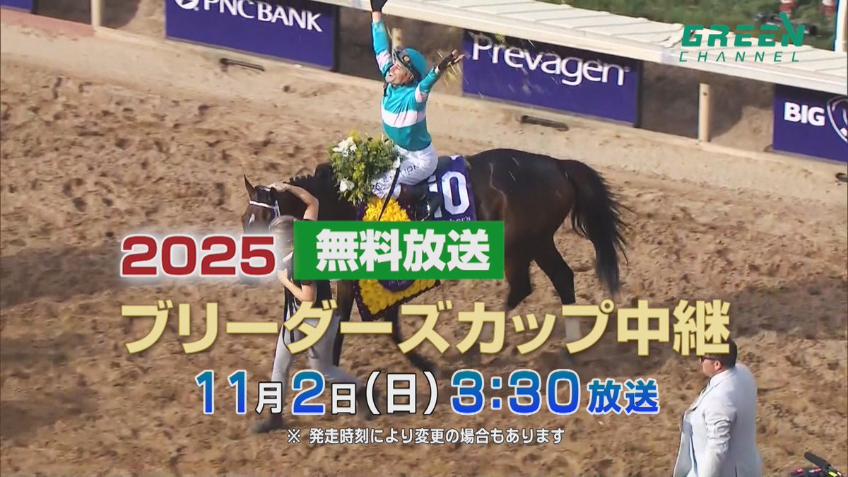 ぽーん (@pawn_UMA) / Posts / X