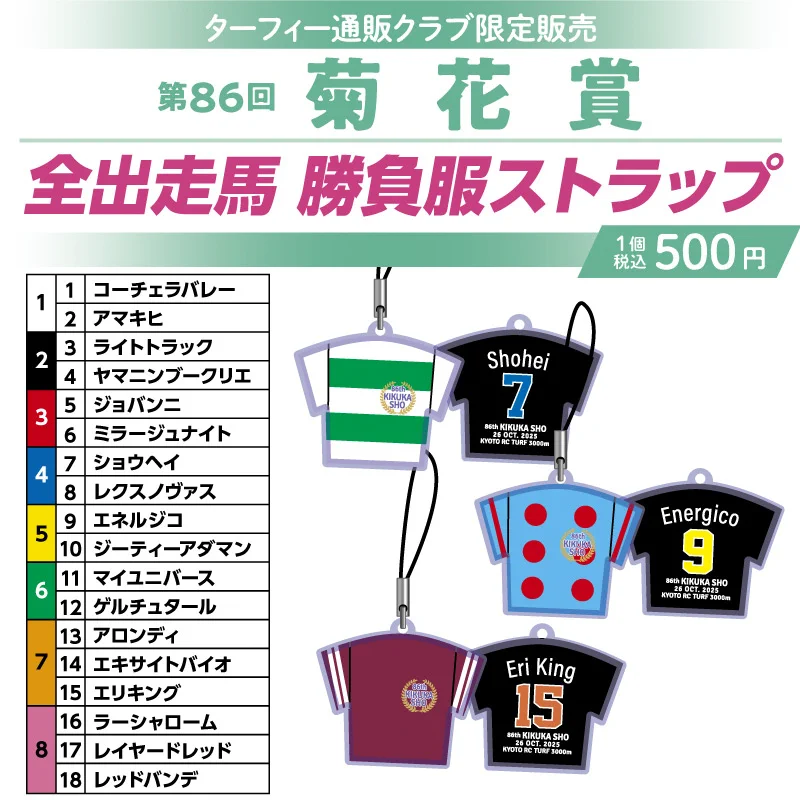 ②◆　競馬　JRA　◆ナリタブライアン◆　菊花賞馬番ボールペン　ストラップ　◆ ターフィーショップ_JRA競馬グッズ on X: 