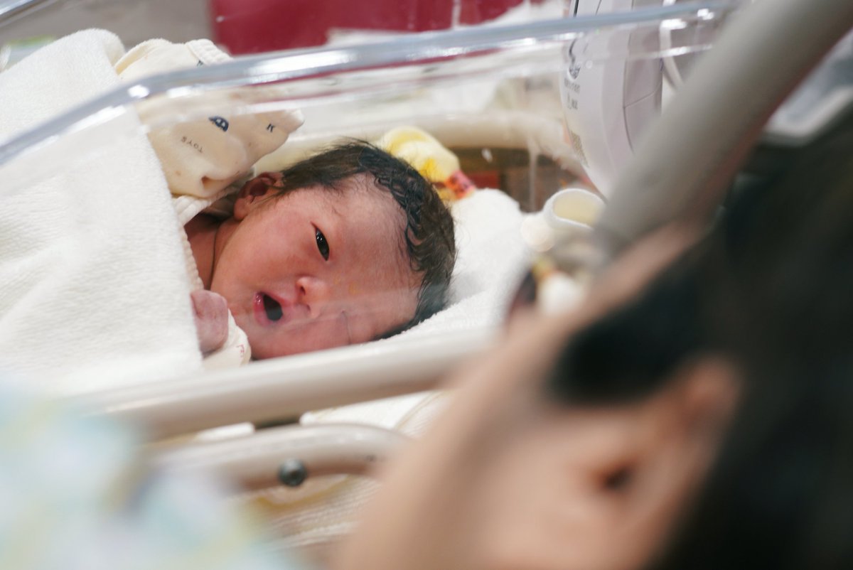 クルクル tweet media