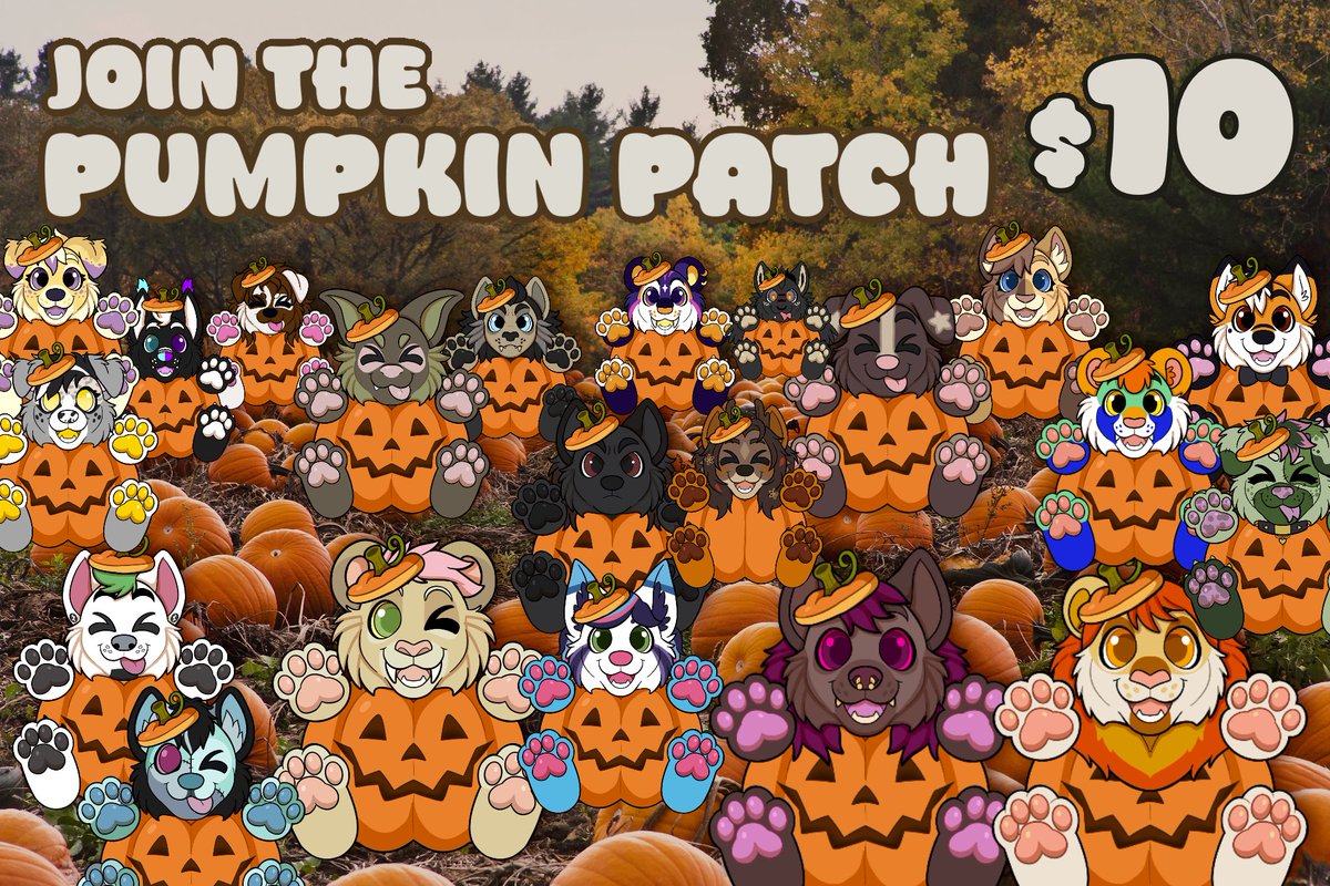 More pumpkins have joined the patch!! 🎃 These are available for the rest of October!