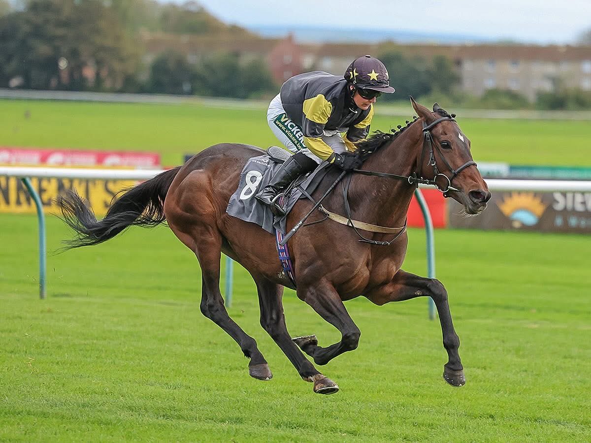 Jim Goldie Racing tweet media