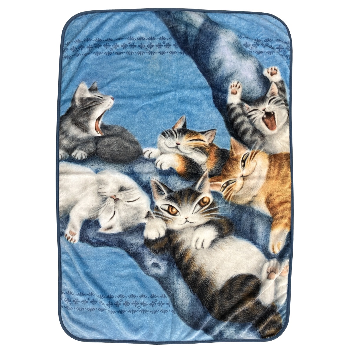 株式会社わちふぃーるど on X