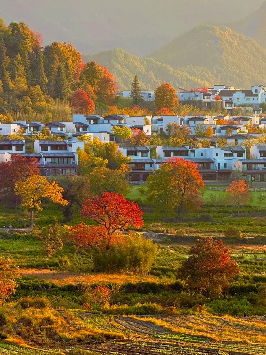 China’s autumn is a living palette! These vibrant hues and cozy villages? Pure fall magic.
#JiangnanAutumnVibes
#ColorfulChinaFall
#ScenicVillageDreams