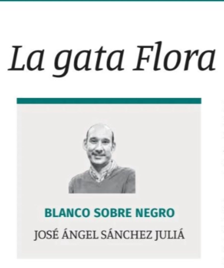 Parece que ahora el PP extremeño se inspira en La gata Flora: si hay presupuestos, malo; si no, peor. Lo que está claro es que mientras ellos maúllan desde Génova, Extremadura sigue esperando soluciones.

Consejo para el portavoz del PP, siempre es más elegante hablar de 'El