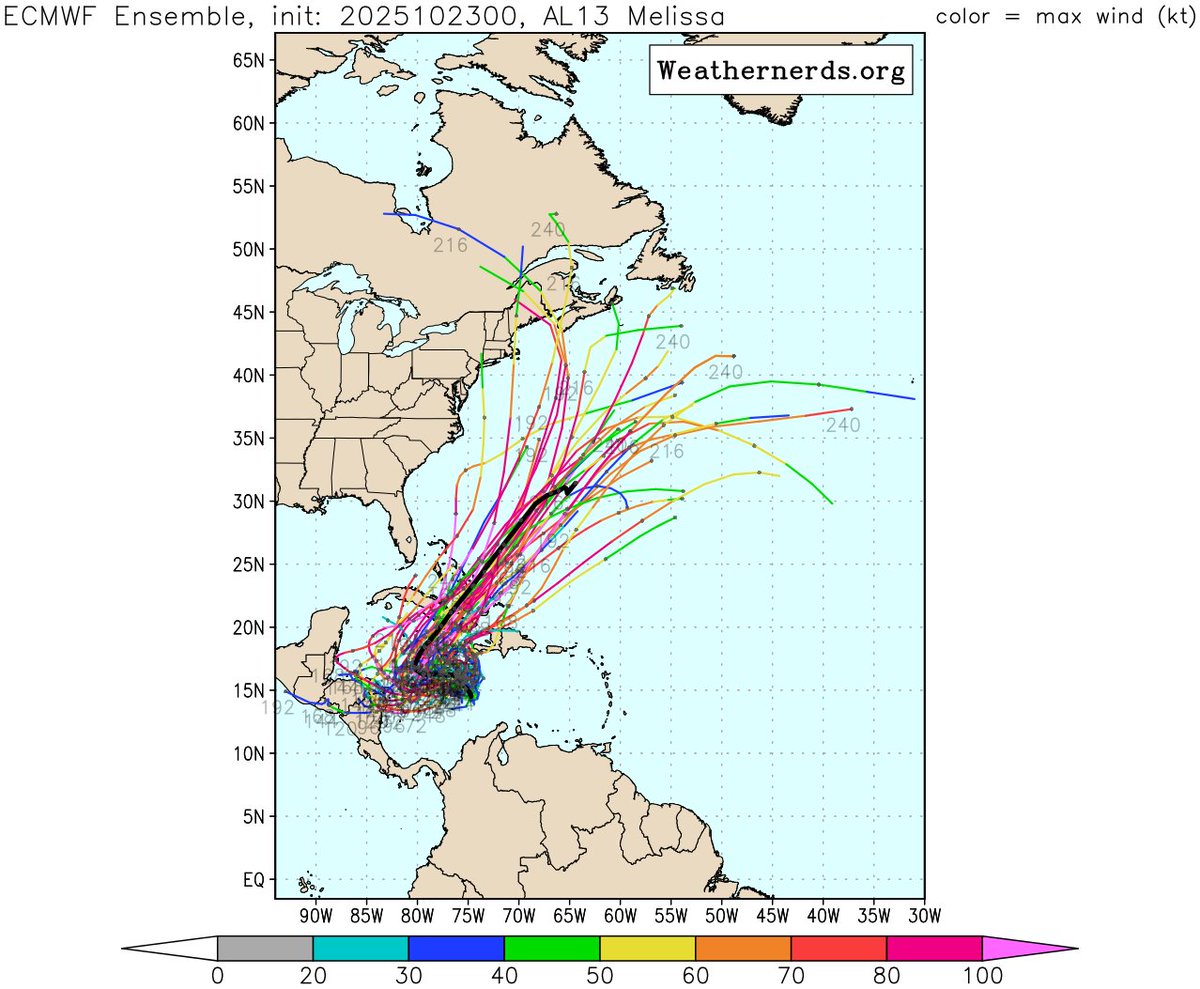 Nin☀️fishing 🚵 tweet media