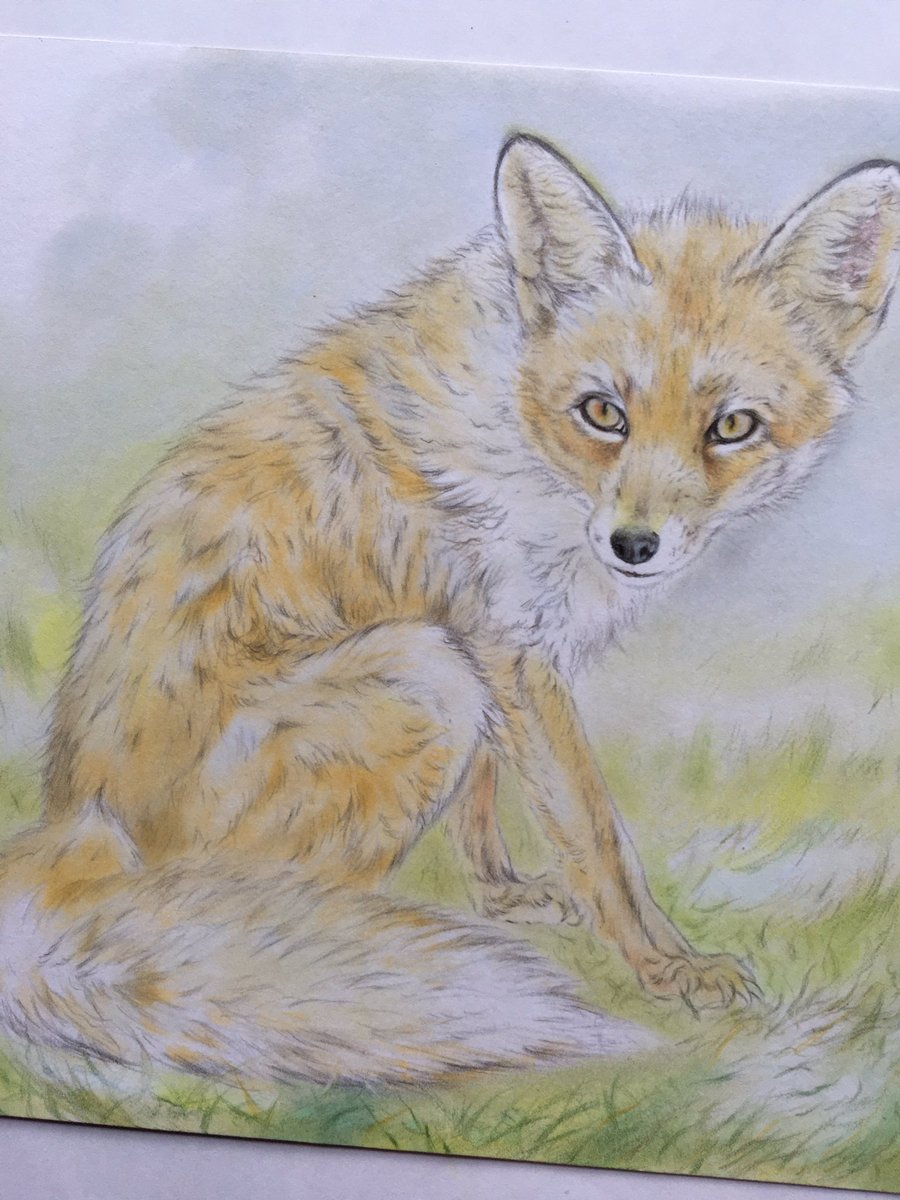 色鉛筆画 色鉛筆画 色鉛筆画 大人気新品 TINAMI - ZX KAWASAKI ［イラスト