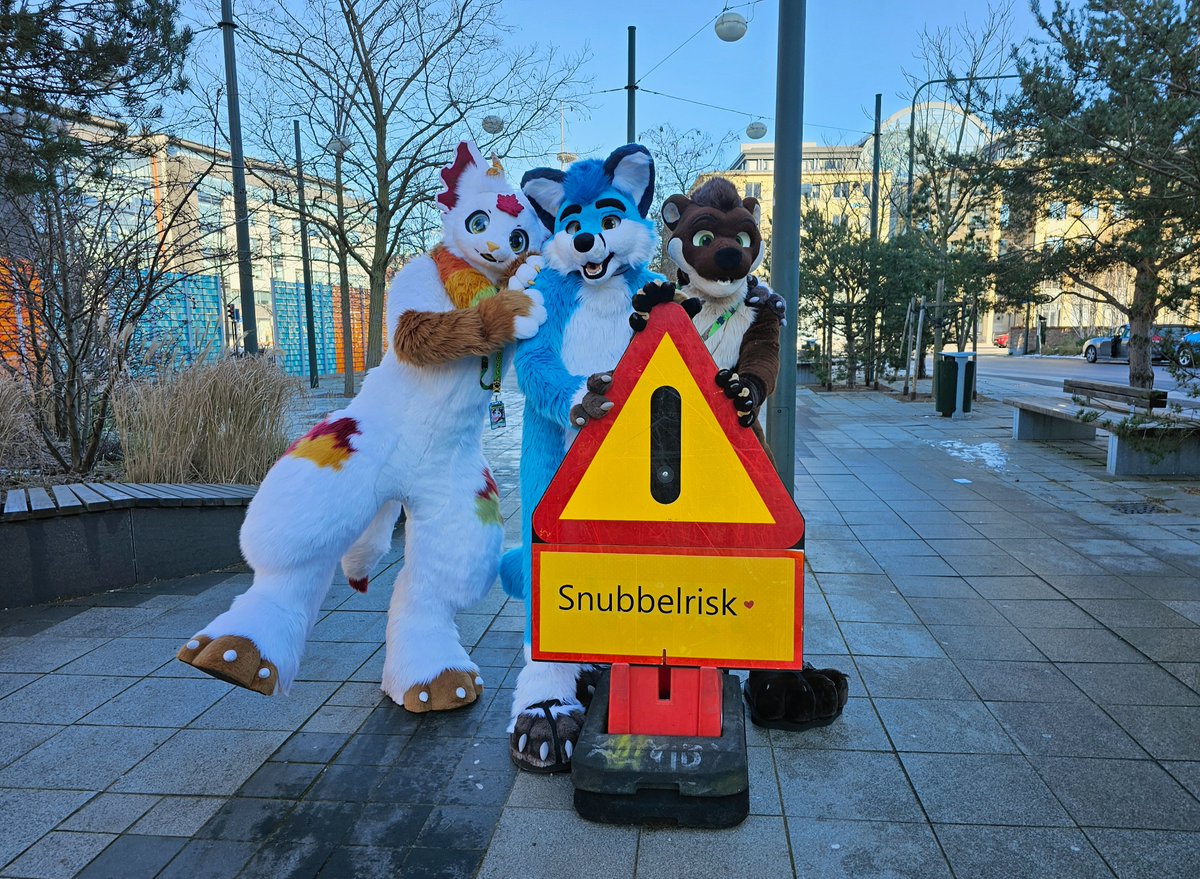 BlackymoonOtter's tweet photo. Churr~~ @_OnlyMaple @Bloome_BlueFolf &amp; myself went on a nice walk through Malmö while finding this strange sign - I wonder what it means ... oh dear, looks like Maple is about to fall over! 😮

✂️ @SchneeCreations @TheKarelia @Roofur
📸 @ArokhTroja 
🔗 #FursuitFriday #Furry https://t.co/vRFC2V8uJE