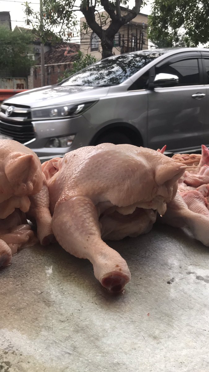 Wes bener bakulan ae dr pada ndelok persebaya, gak meksiko.

Monggo siap antar sampai dapur kalian.