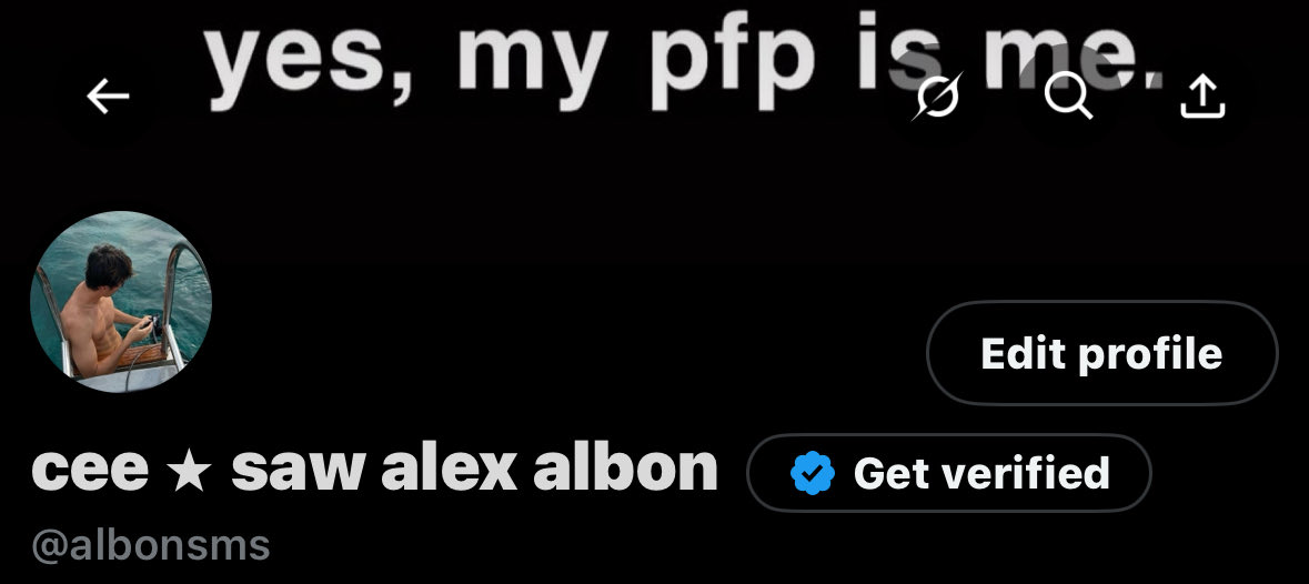 albonsms's tweet photo. #NewProfileLayout guys i promise i am not some weirdo about alex albon in the water. please. https://t.co/g8rQzQXY9S