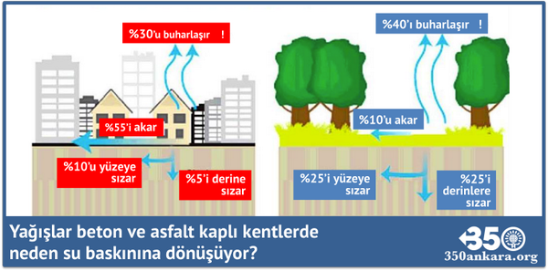 Geçmiş olsun Foça!

#AsfaltBetonBelediyeciliği neden su baskınlarını arttırıyor?