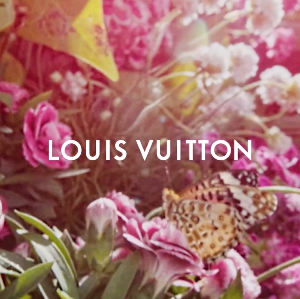 はっちゃん on X