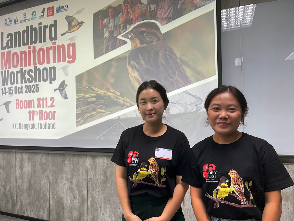 絶滅危惧種シマアオジのためのクラウドファンディング、目標額の半分まであと少し。
readyfor.jp/projects/aureo…
写真はクラファンリターンのひとつ、タイ製REDListシマアオジＴシャツを着てくれたタイの仲間たちです。経団連の助成を受けてバンコクで10月14-15日に開催したワークショップの会場にて。