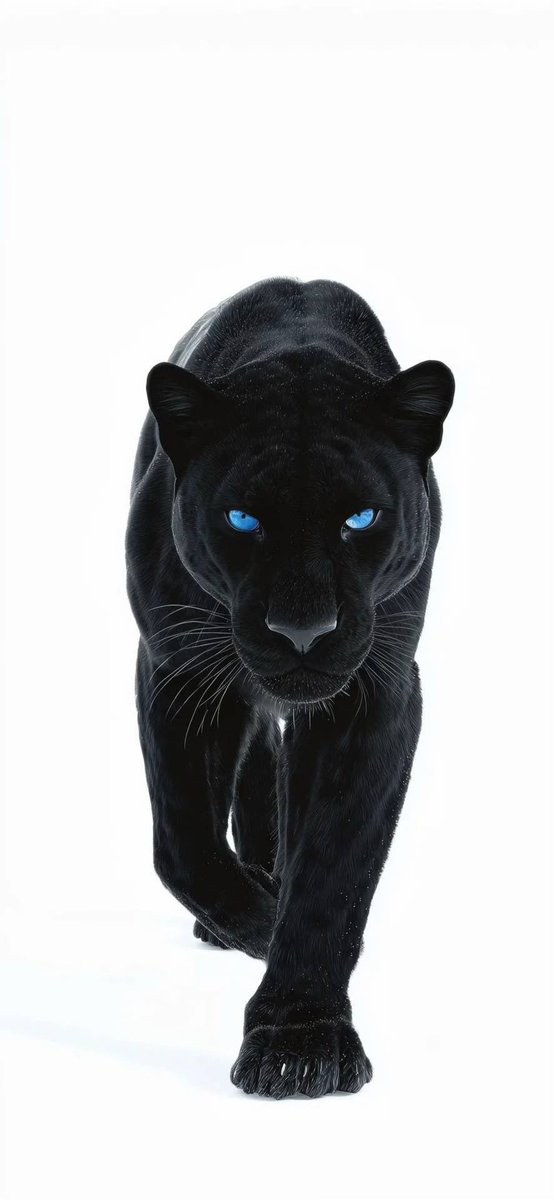 I dare you to beat my wallpaper