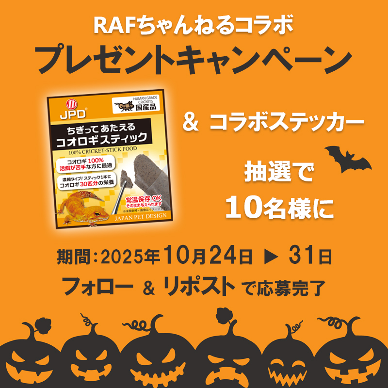＼プレキャン／
BIGレプありがとうございました！
RAFちゃんねるコラボ記念プレキャンやります
① <a href="/_JapanPetDesign/">日本動物薬品株式会社・ニチドウ</a> をフォロー
②この投稿をリポスト
ステッカーGETできなかった方、
コオロギスティック試したい方是非🙌
ご応募お待ちしております