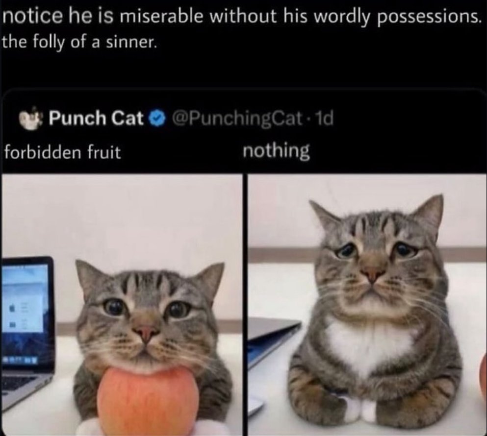 Hoodie_HoodHood's tweet photo. I'm gonna be late for work but in the meantime have some doodles of this cat coded mf (with a meme and the original picture at the end)
#kirby #krtdl #magolor https://t.co/QhUdlZs2XU