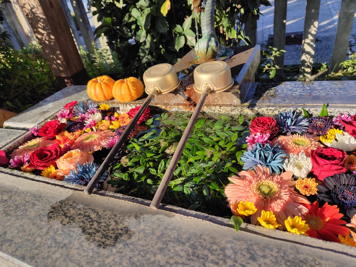 長かった夏も終わり、朝晩はもとより日中も、だいぶ寒くなりました。

境内のコスモスは、花を散らし始めています。

今朝の手水の様子です📸

週末お出掛けの際は、暖かくして風邪などひかぬように🙏