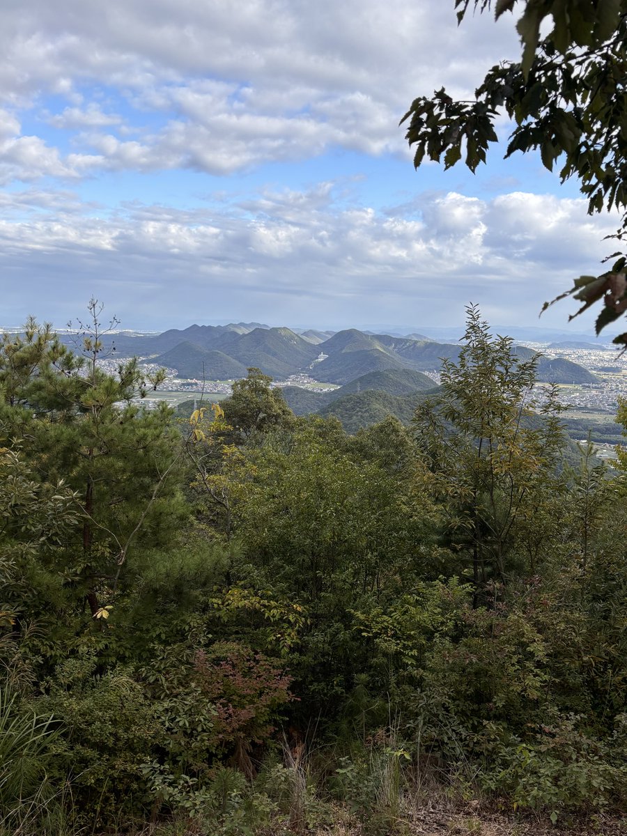 osu_man8's tweet photo. 夕活トレラン🍁〽️🏃‍♂️ https://t.co/HZP8GQmIRS