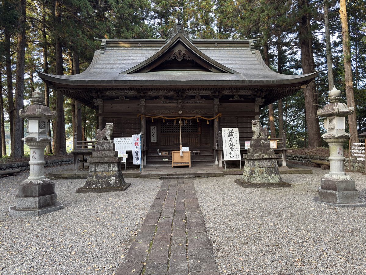 まさ (@alpha_dog01) / Posts / X