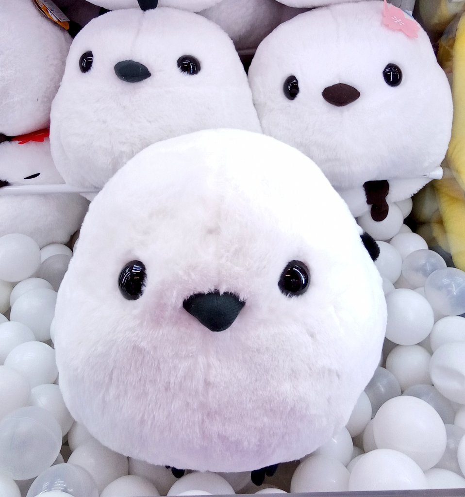 雪の妖精🧚シマエナガ✨ シマちゃん史上最大サイズ 抱えるほど大きい