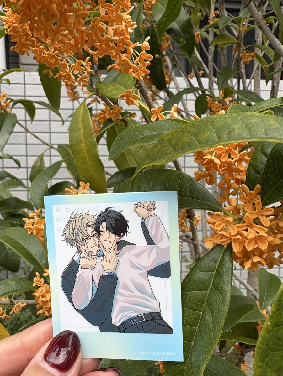 オーダー作品3点【Mii☪*】 たからものたち🕊️🫧