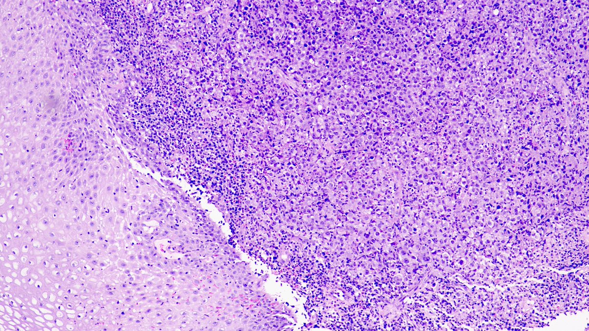 Sumanta Das tweet media