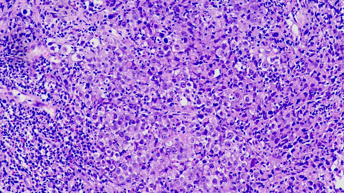 Sumanta Das tweet media