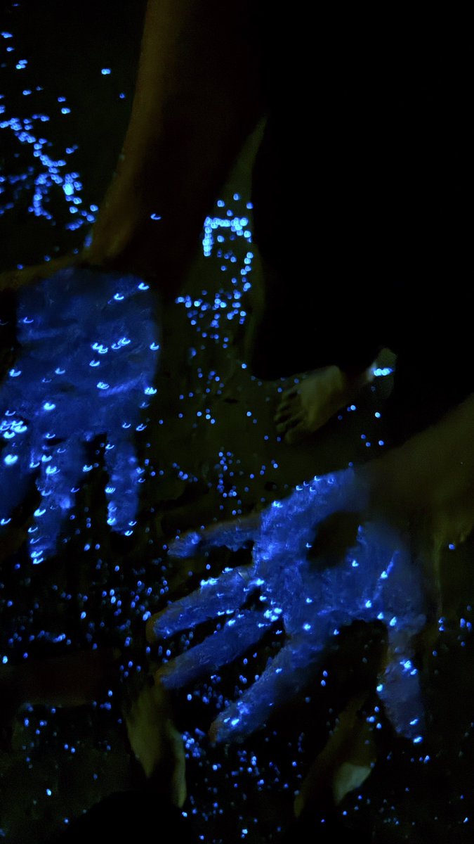 ibr74im's tweet photo. Bioluminescence 🌀 |  شاطئ البستان📍 https://t.co/irfcDMuJvI