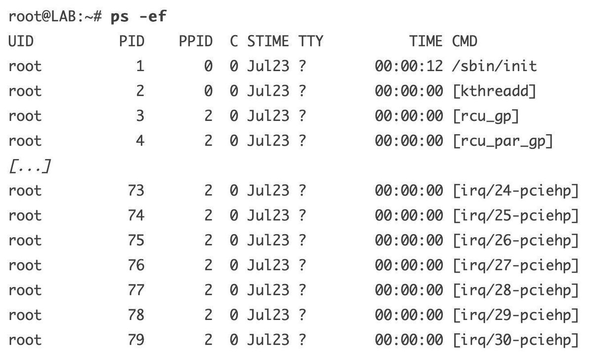 0xor0ne's tweet image. How to hide processes in Linux
dfir.ch/posts/slash-pr…
righteousit.com/2024/07/24/hid…
#Linux #Cybersecurity