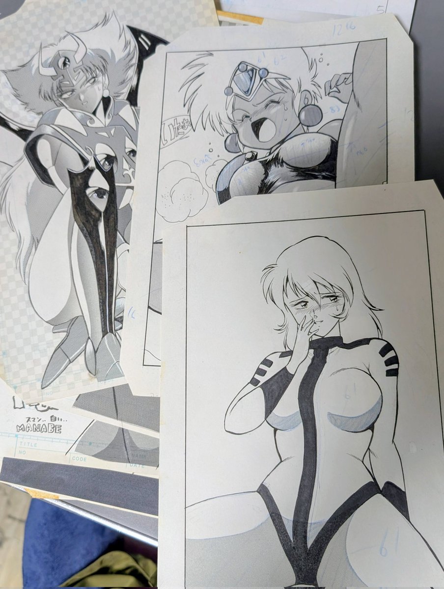 ガンダマンが次のヤフオクに出品用原稿をごっそり持っていった。 