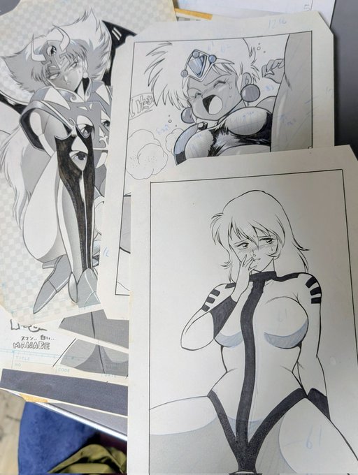 ガンダマンが次のヤフオクに出品用原稿をごっそり持っていった。