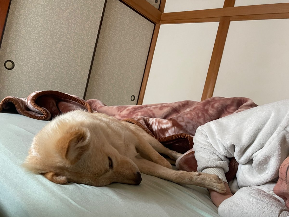 宮下サトシ (@toys_pottery) / Posts / X