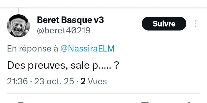 Nassira El Moaddem tweet media