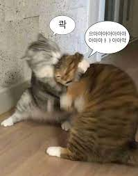 mongsae02's tweet photo. @do_long_long 내꺼야ㅑ!!!!! https://t.co/evDfT7veKY
