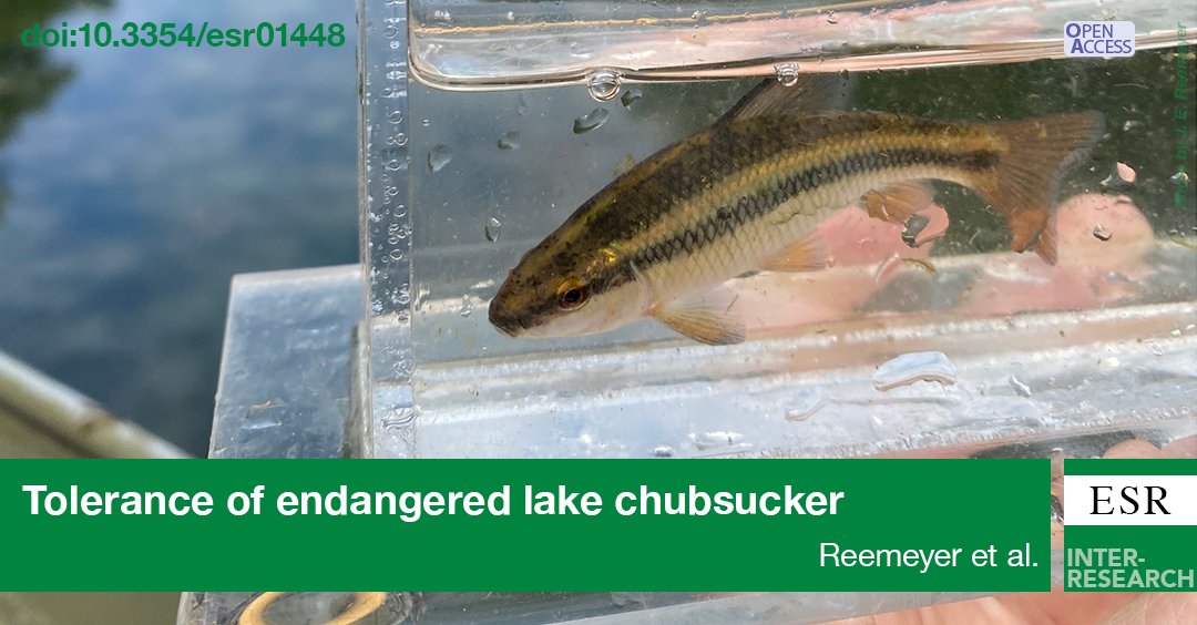 Endangered Species Research tweet media