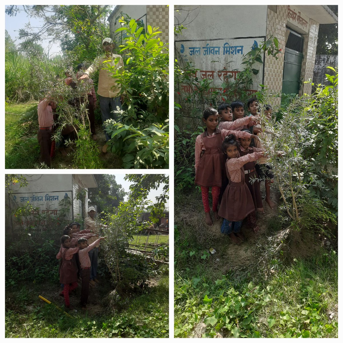 प्राथमिक विद्यालय ढुकसी वि0क्षे0-बीसलपुर जनपद-पीलीभीत में बच्चों को पेड़ो के बारे में बताया गया ।तथा उन्हे सुरक्षित रखने की शपथ दिलाई।  
            सुरजीत सिंह (प्रधानाध्यापक)