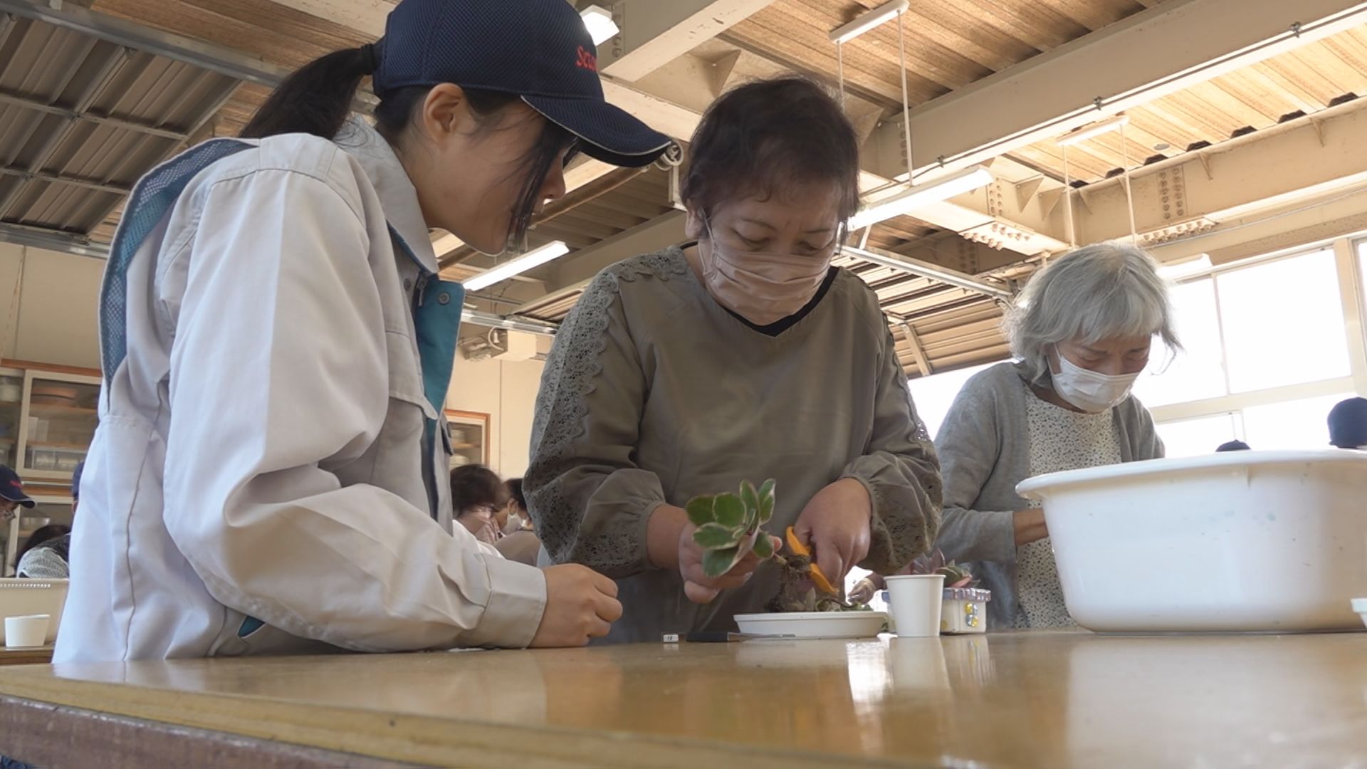 さくらJAPAN - Search / X