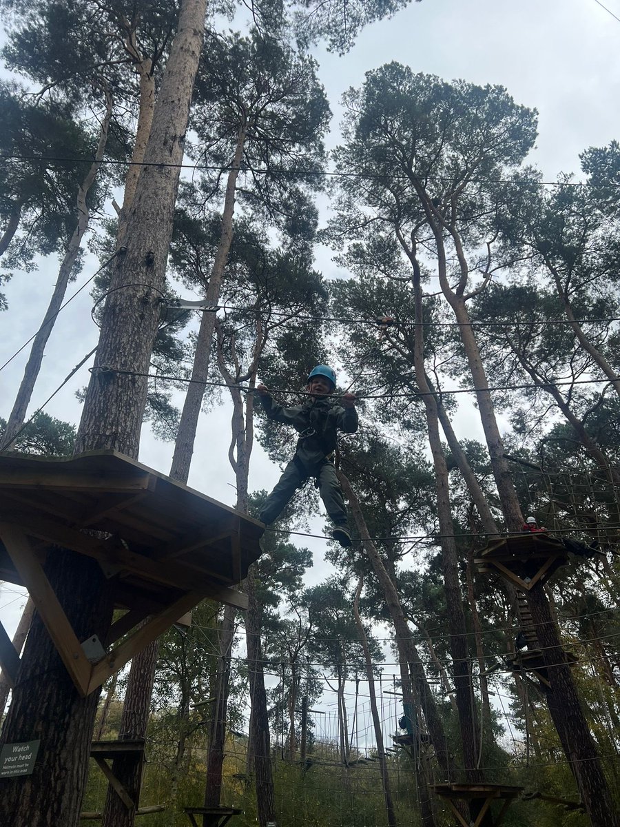 Cat Murray tweet media