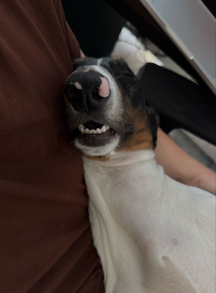 Підтримайте збір👇🏻

send.monobank.ua/jar/5JJ6eqqa6M