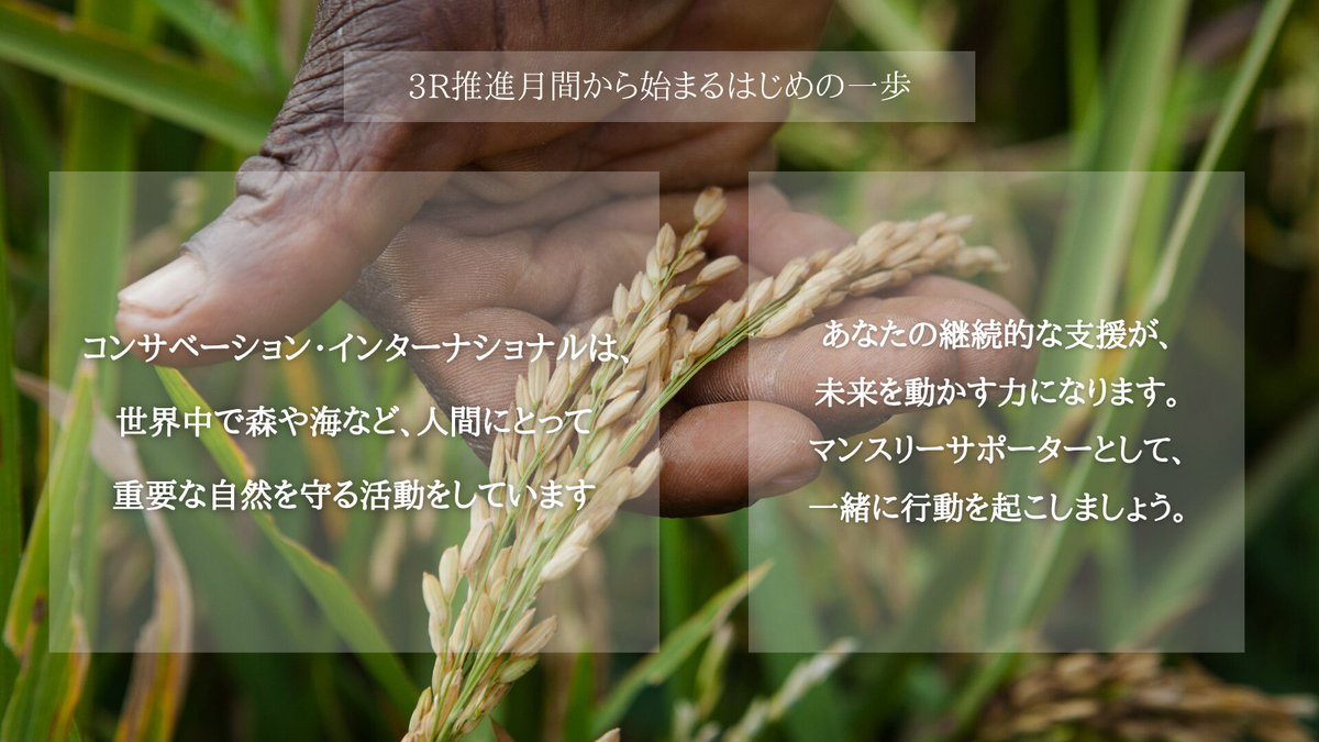 🚩インターン生企画・10月は3R推進月間です

10月は【3R推進月間】です。
ごみの発生を減らし
次に使えるものは繰り返し使い
最後にリサイクルすることで、
限りある地球の資源を有効に使い、
環境負荷の軽減を目指しましょう✨️

＊ ＊ ＊ ＊ ＊ ＊ ＊ ＊ ＊ ＊

10月~12月の期間、