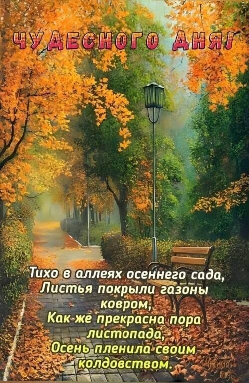 С пятницей, друзья! Хорошего всем настроения и замечательной осенней погоды!