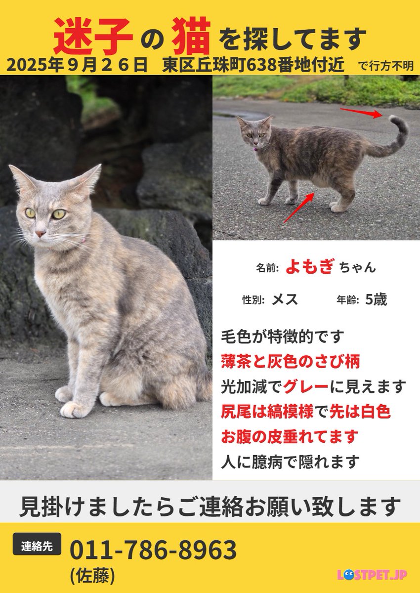 🐈‍⬛あんことあずきとよもぎの毎日(🌈🐕シェル&キン) on X